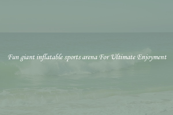 Fun giant inflatable sports arena For Ultimate Enjoyment