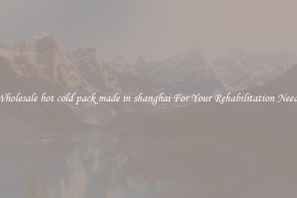 Wholesale hot cold pack made in shanghai For Your Rehabilitation Needs