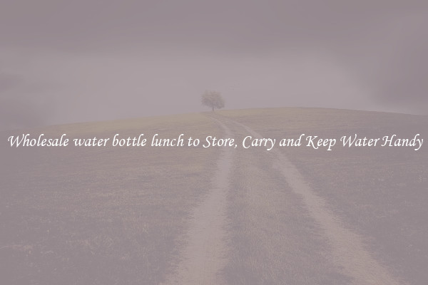 Wholesale water bottle lunch to Store, Carry and Keep Water Handy
