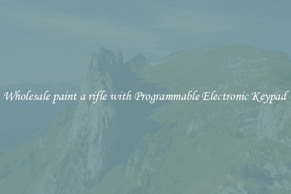 Wholesale paint a rifle with Programmable Electronic Keypad 