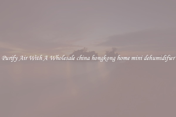 Purify Air With A Wholesale china hongkong home mini dehumidifier