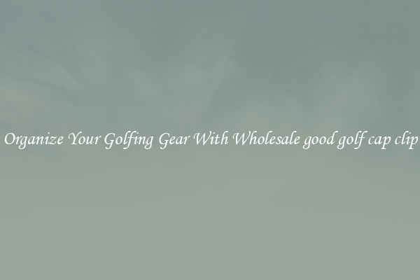 Organize Your Golfing Gear With Wholesale good golf cap clip