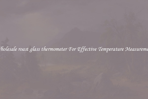 Wholesale roast glass thermometer For Effective Temperature Measurement