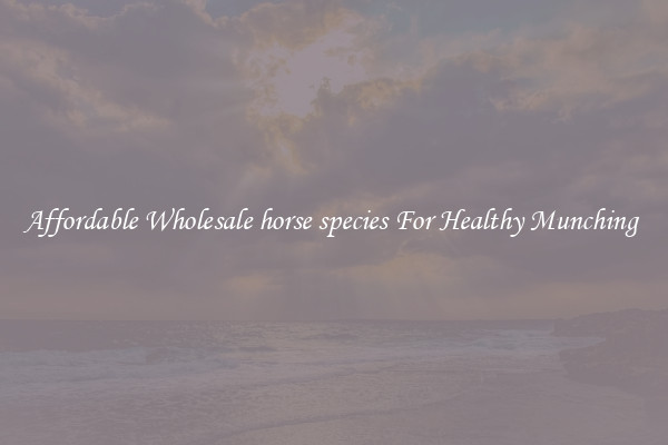 Affordable Wholesale horse species For Healthy Munching 