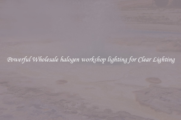 Powerful Wholesale halogen workshop lighting for Clear Lighting