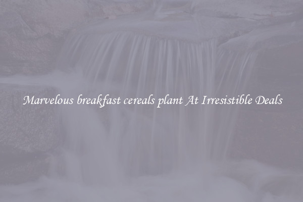 Marvelous breakfast cereals plant At Irresistible Deals
