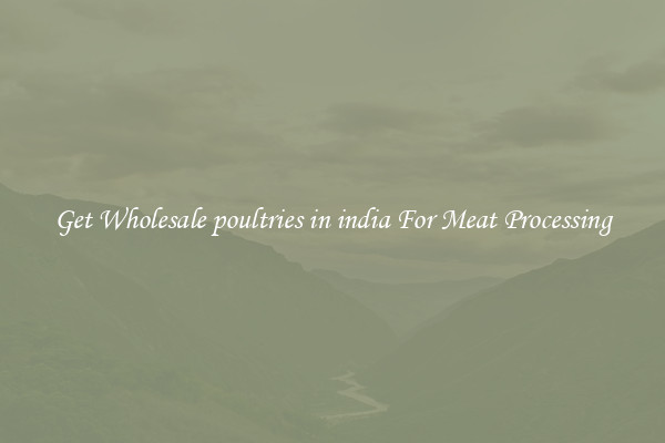 Get Wholesale poultries in india For Meat Processing
