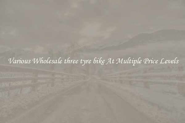 Various Wholesale three tyre bike At Multiple Price Levels