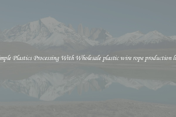 Simple Plastics Processing With Wholesale plastic wire rope production line