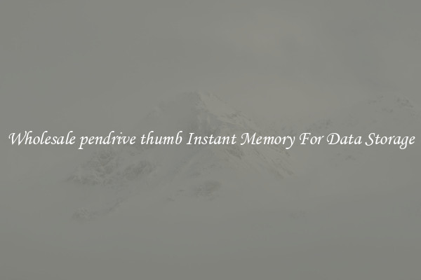 Wholesale pendrive thumb Instant Memory For Data Storage
