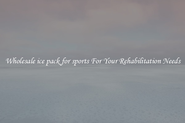 Wholesale ice pack for sports For Your Rehabilitation Needs