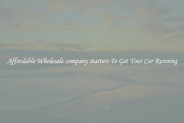 Affordable Wholesale company starters To Get Your Car Running