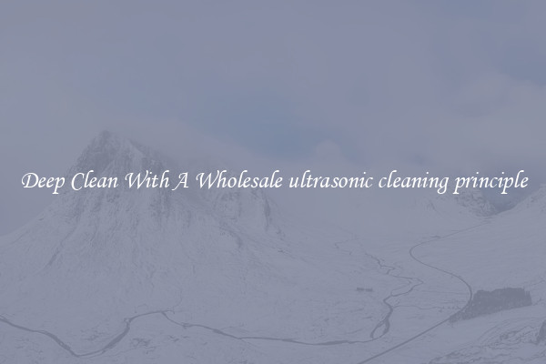 Deep Clean With A Wholesale ultrasonic cleaning principle