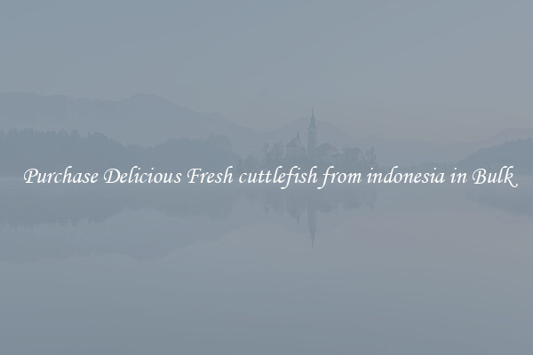 Purchase Delicious Fresh cuttlefish from indonesia in Bulk