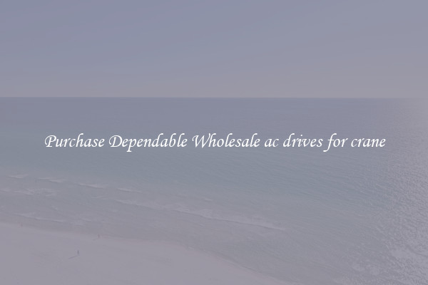 Purchase Dependable Wholesale ac drives for crane